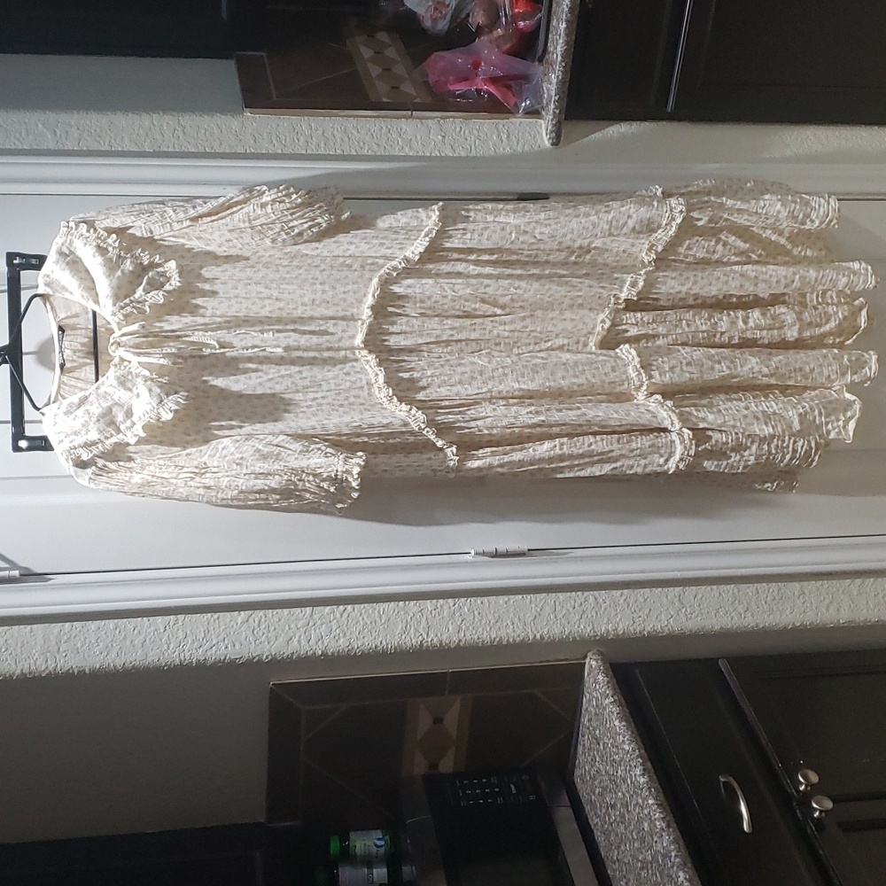 Zara dress